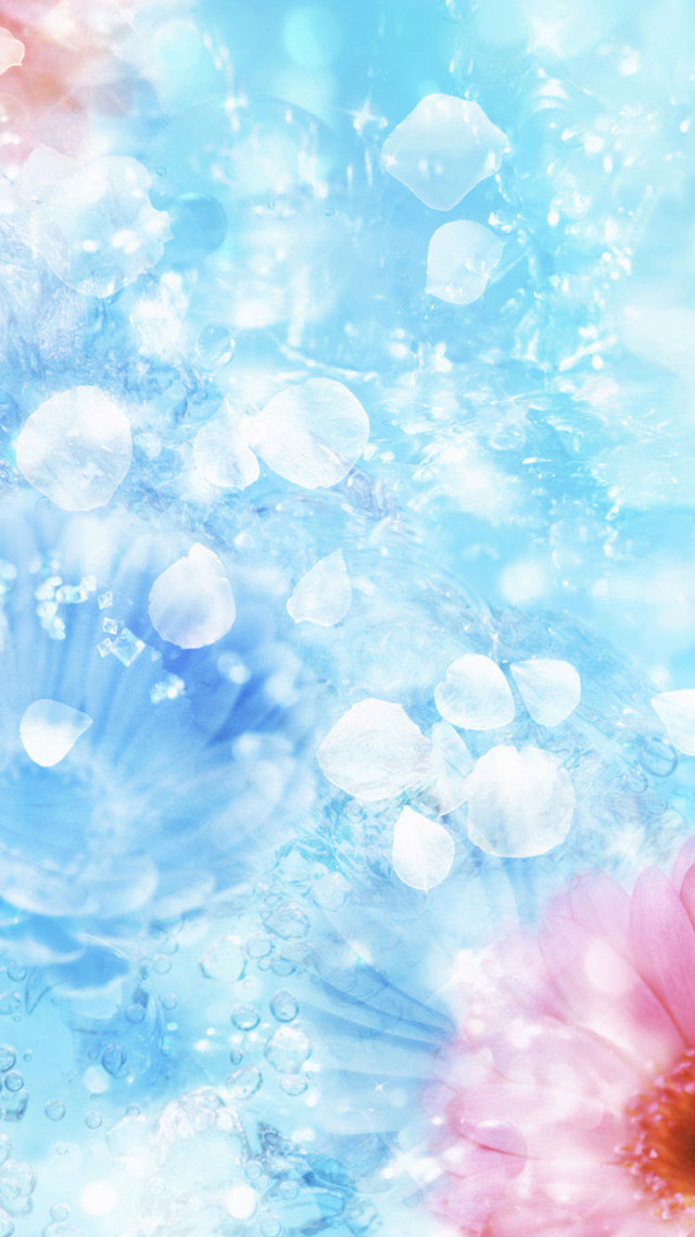 Flower closeup water droplets sky free wallpaper for mobile - medium preview image