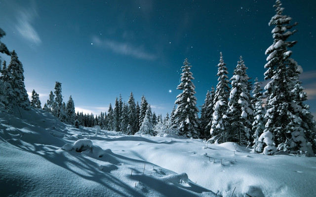 Snowy landscape moon trees aurora free wallpaper for desktop - medium preview image