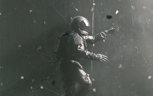 Forest commander gun fall space free wallpaper for desktop - medium preview image