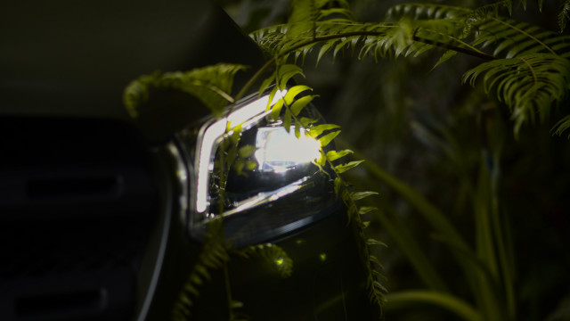 Car mirror fern light bokeh free wallpaper for desktop - medium preview image
