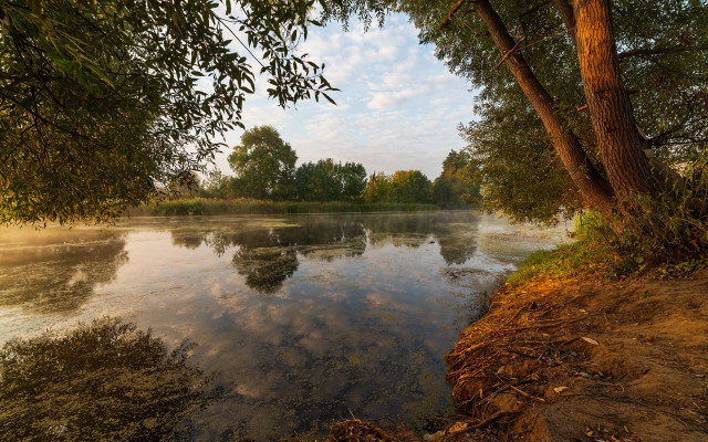 River trees water sky clouds free wallpaper for desktop - medium preview image