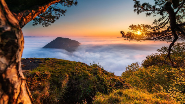 Mountain tree fog valley sunset free wallpaper for desktop - medium preview image