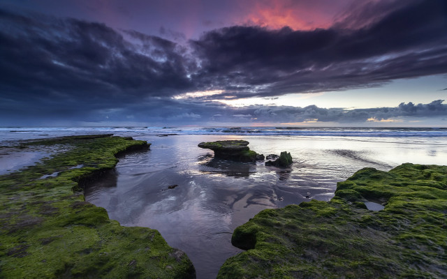 Beach rock formation moss sunset free wallpaper for desktop - medium preview image
