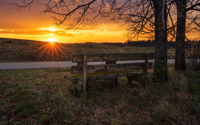 Bench grass tree water sunset free wallpaper for desktop - medium preview image
