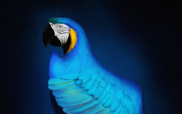 Blue parrot yellow beak wings free wallpaper for desktop - medium preview image