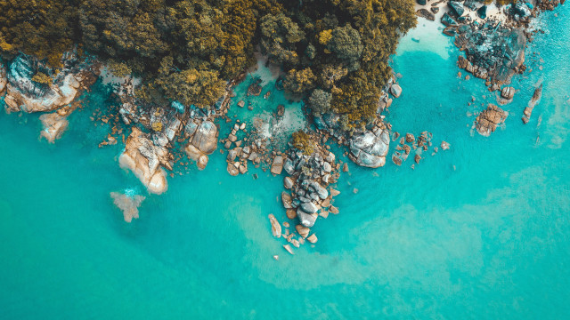 Boats ocean forest rocks saturated free wallpaper for desktop - medium preview image