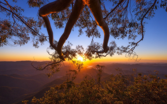 Sunset mountains valleys branch autumn free wallpaper for desktop - medium preview image