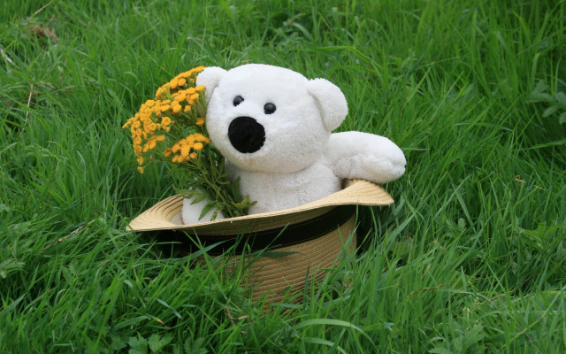 Stuffed bear basket flowers hat free wallpaper for desktop - medium preview image