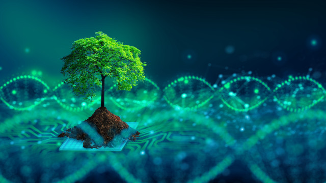 Tree island glowing biology fantasy free wallpaper for desktop - medium preview image