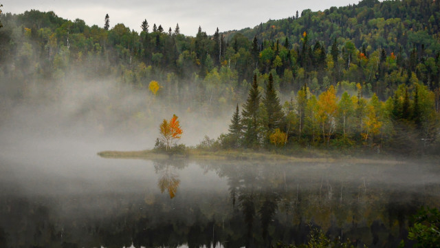 Lake fog island trees forest free wallpaper for desktop - medium preview image