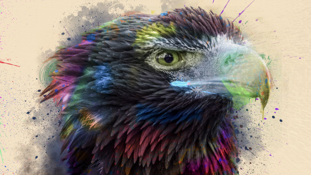 Colorful bird black head green free wallpaper for desktop - medium preview image
