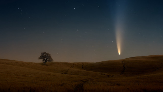 Comet tree night magic milkyway free wallpaper for desktop - medium preview image