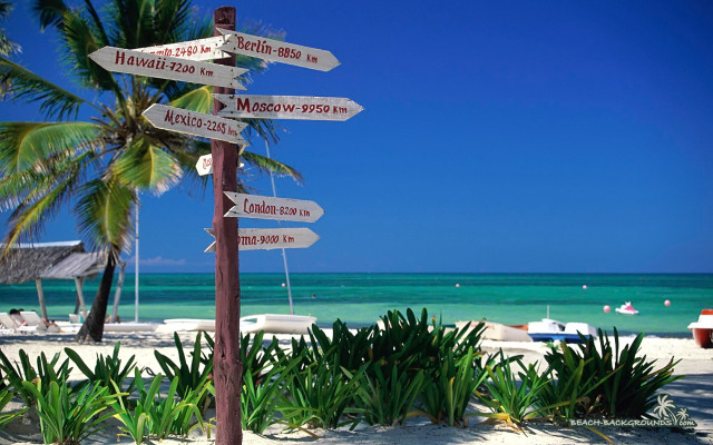 Beach signpost palm tree directions free wallpaper for desktop - medium preview image