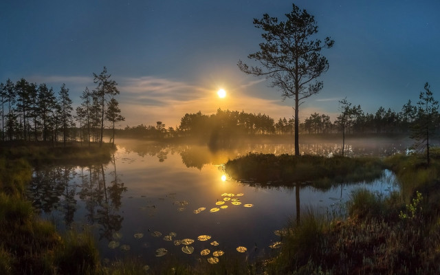 Lake sunset fog trees city free wallpaper for desktop - medium preview image