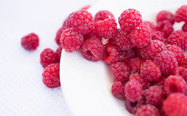 White spoon raspberries flower roses free wallpaper for desktop - medium preview image