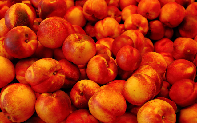 Red apples pile summer vibrant free wallpaper for desktop - medium preview image