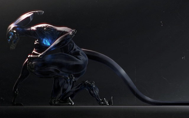 Black blue animal long tail free wallpaper for desktop - medium preview image