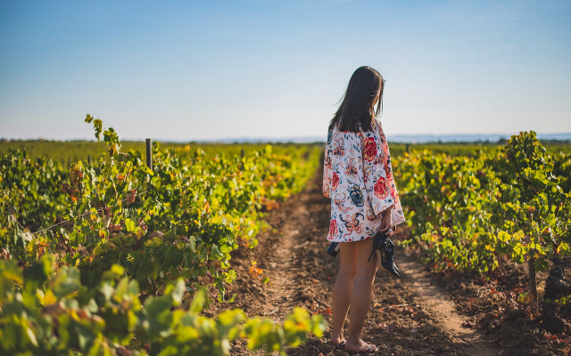 Woman field sky vines flower free wallpaper for desktop - medium preview image