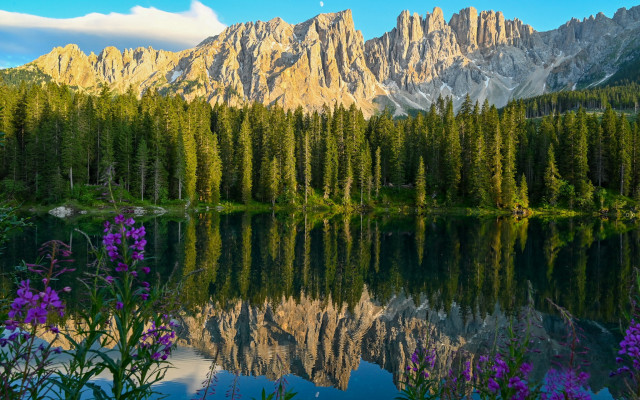 Mountain lake reflection flowers trees free wallpaper for desktop - medium preview image