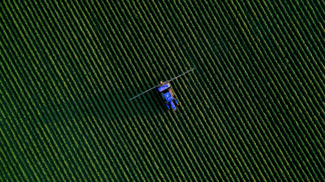 Man blue boat green field free wallpaper for desktop - medium preview image