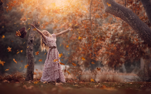 Forest autumn leaves woman dress free wallpaper for desktop - medium preview image