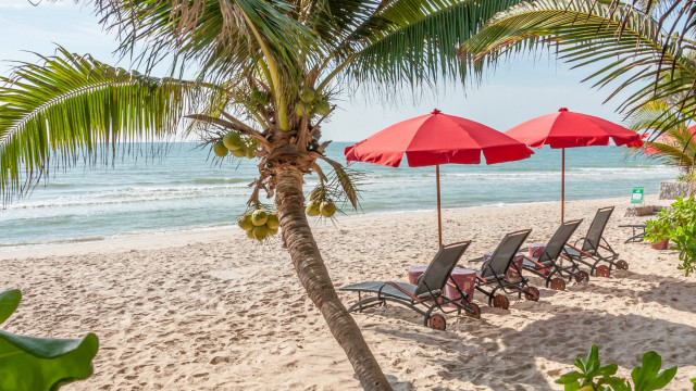 Beach lawn chairs umbrellas ocean free wallpaper for desktop - medium preview image