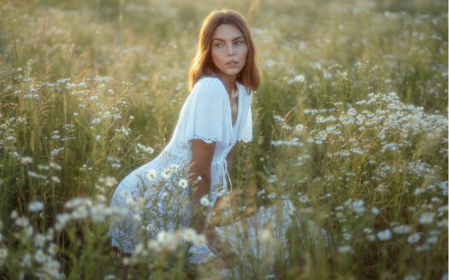 Woman flowerfield white dress outdoors free wallpaper for desktop - medium preview image
