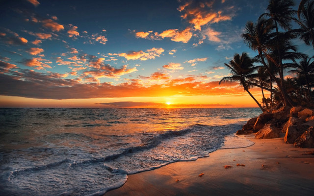 Sunset ocean palm trees rocky #2 free wallpaper for desktop - medium preview image