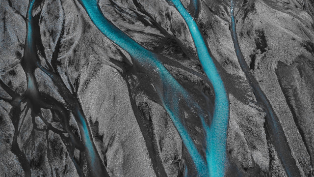 River forest blackwhite trees rocks free wallpaper for desktop - medium preview image