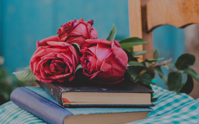 Books roses stilllife blurry chair free wallpaper for desktop - medium preview image