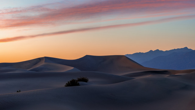 Sunset desert lone tree mountains free wallpaper for desktop - medium preview image