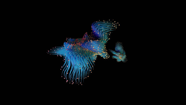 Blue fish white fish raytraced free wallpaper for desktop - medium preview image