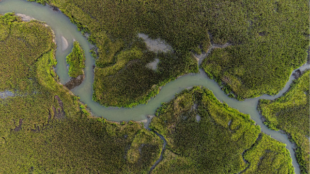River forest tiltshift ecological art free wallpaper for desktop - medium preview image