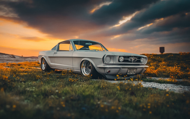 Car flower field sunset cloudy free wallpaper for desktop - medium preview image