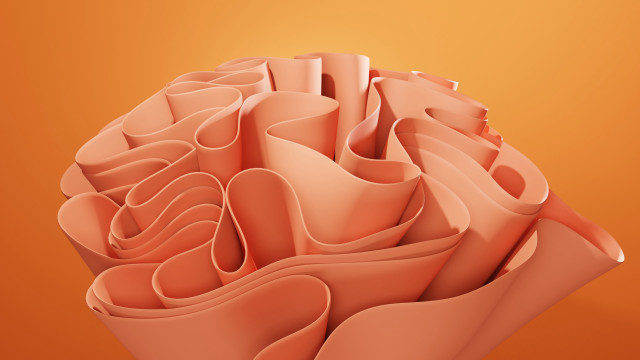 Pink flowers 3d gradient background free wallpaper for desktop - medium preview image