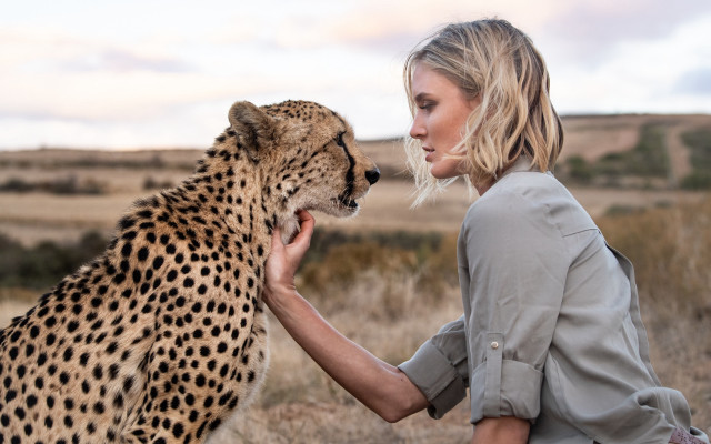 Woman cheetah field outdoors blonde free wallpaper for desktop - medium preview image