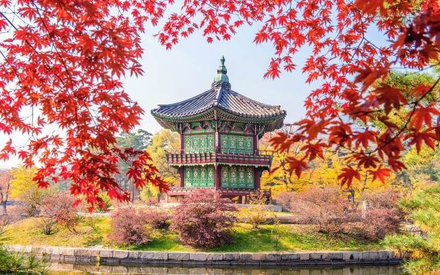 Pagoda autumn leaves bridge park free wallpaper for desktop - medium preview image