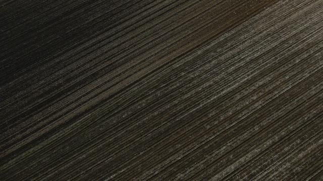 Plowed field tiltshift tree monochrome free wallpaper for desktop - medium preview image