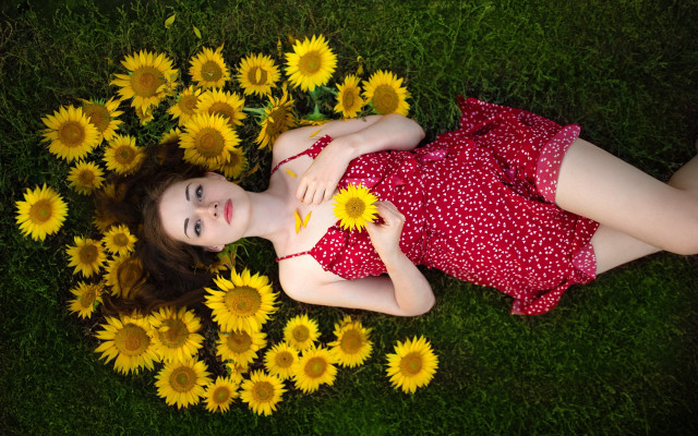Girl laying sunflower field smiling free wallpaper for desktop - medium preview image