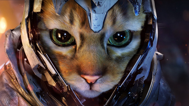 Cat helmet green eyes old free wallpaper for desktop - medium preview image