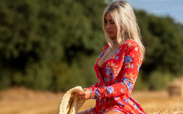 Red dress hay bale impressionist free wallpaper for desktop - medium preview image