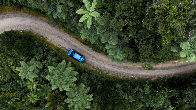 Blue car forest dirt road free wallpaper for desktop - medium preview image