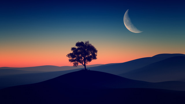 Lone tree crescent moon dusk free wallpaper for desktop - medium preview image