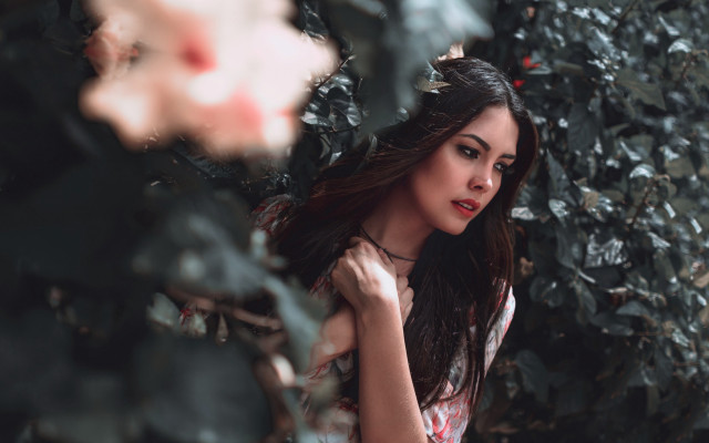 Aramenta dianthe vail woman flower free wallpaper for desktop - medium preview image