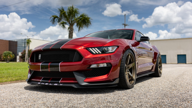 Red mustang gravel road palm free wallpaper for desktop - medium preview image
