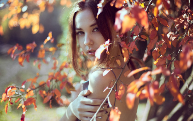 Woman autumn leaves fire portrait free wallpaper for desktop - medium preview image