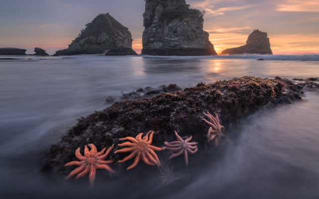Starfish rocks ocean sunset formation free wallpaper for desktop - medium preview image