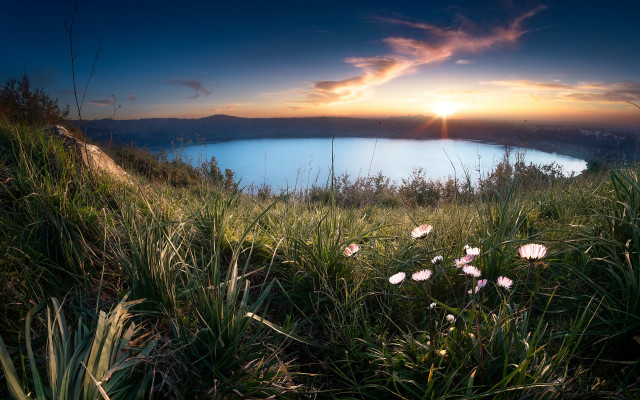 Lake flowers sunset bush horizon free wallpaper for desktop - medium preview image