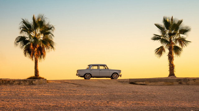 Desert car palm trees sunset free wallpaper for desktop - medium preview image