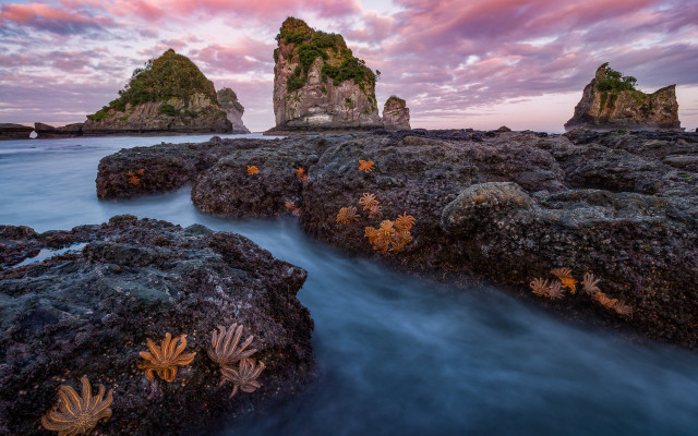 Rocky beach sunset pink sky #6 free wallpaper for desktop - medium preview image